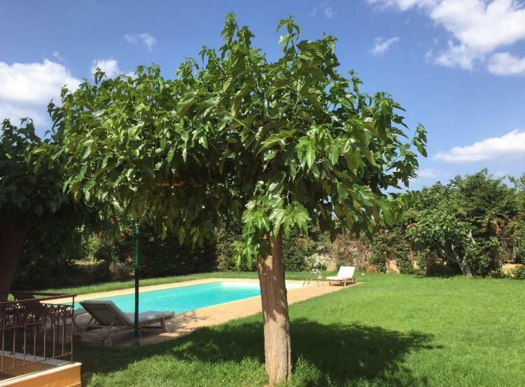 Relaxing Villa With Swimming Pool And Garden Agios Georgios  Exterior foto
